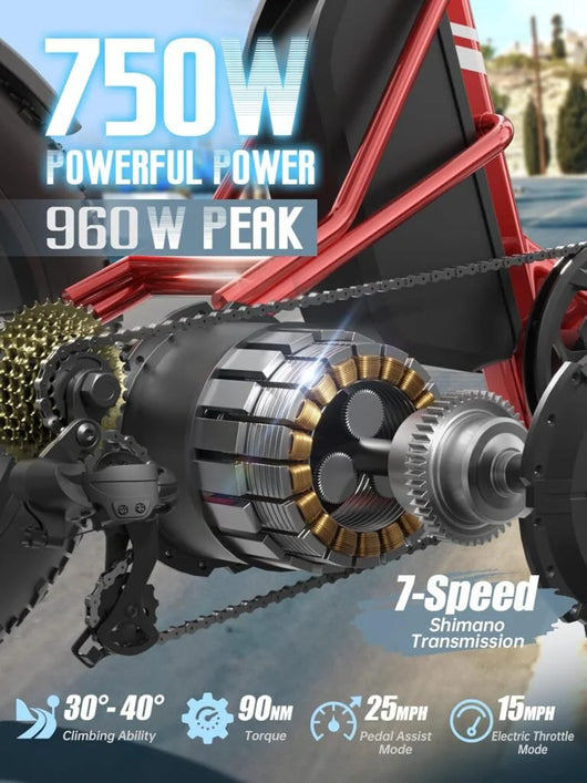 PUCKIPUPPY Electric Tricycle