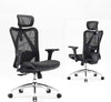 Ergonomic Office Chair