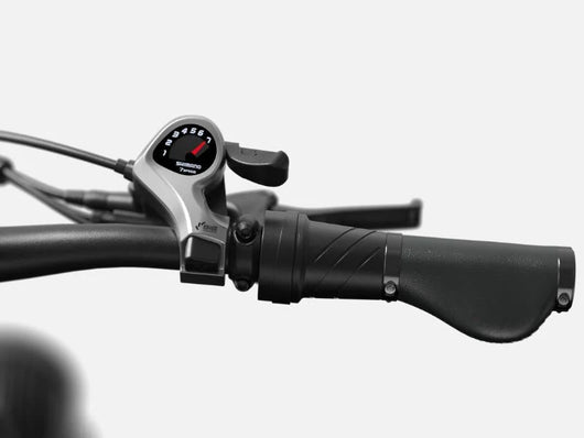 PUCKIPUPPY Electric Tricycle